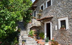 Agrestis Domus